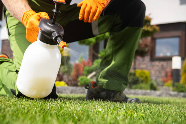 Best Cockroach Control Services  in Valhalla, NY