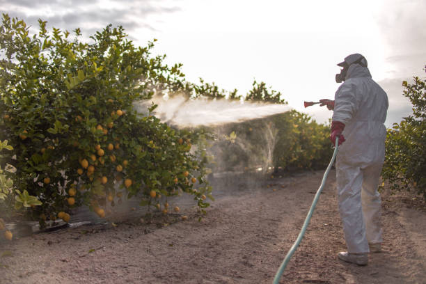 Best Pest Inspection Near Me  in Valhalla, NY