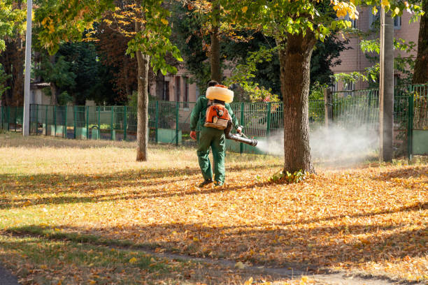Best Emergency Pest Control  in Valhalla, NY