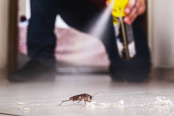 Best Commercial Pest Control Services  in Valhalla, NY