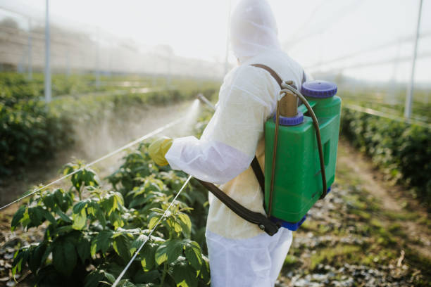 Best Emergency Pest Control  in Valhalla, NY
